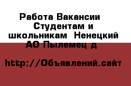 Работа Вакансии - Студентам и школьникам. Ненецкий АО,Пылемец д.